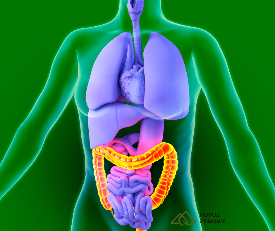 Maślan: paliwo dla jelit