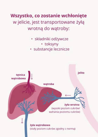 OMNi-BiOTiC® HETOX – synbiotyk jelito–wątroba, 30 saszetek