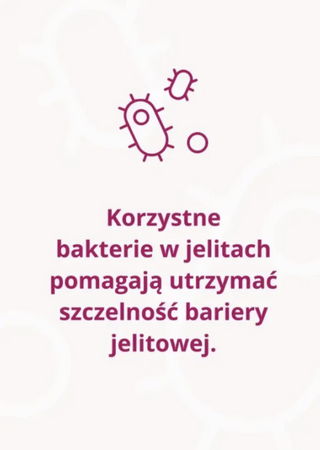OMNi-BiOTiC® METAtox – synbiotyk wspierający metabolizm glukozy i lipidów 30 saszetek