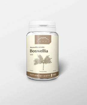 Boswellia 500 – ekstrakt z żywicy kadzidłowca indyjskiego, 60% kwasów bosweliowych