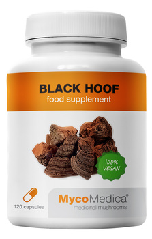 Ekstrakt z grzyba Phellinus Linteus Black Hoof 90szt.