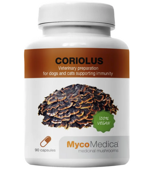 MycoMedica wrośniak różnobarwny Coriolus 90szt.